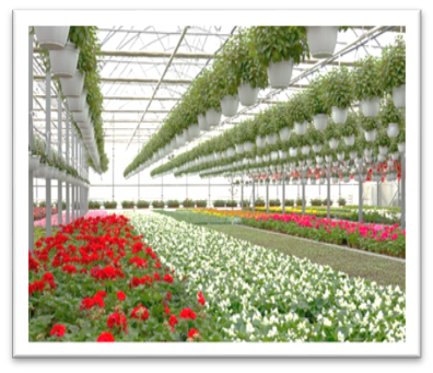 SuperDYMA application image 5